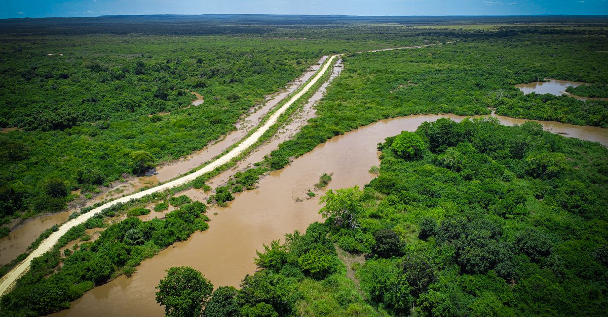 Great Ruaha River
