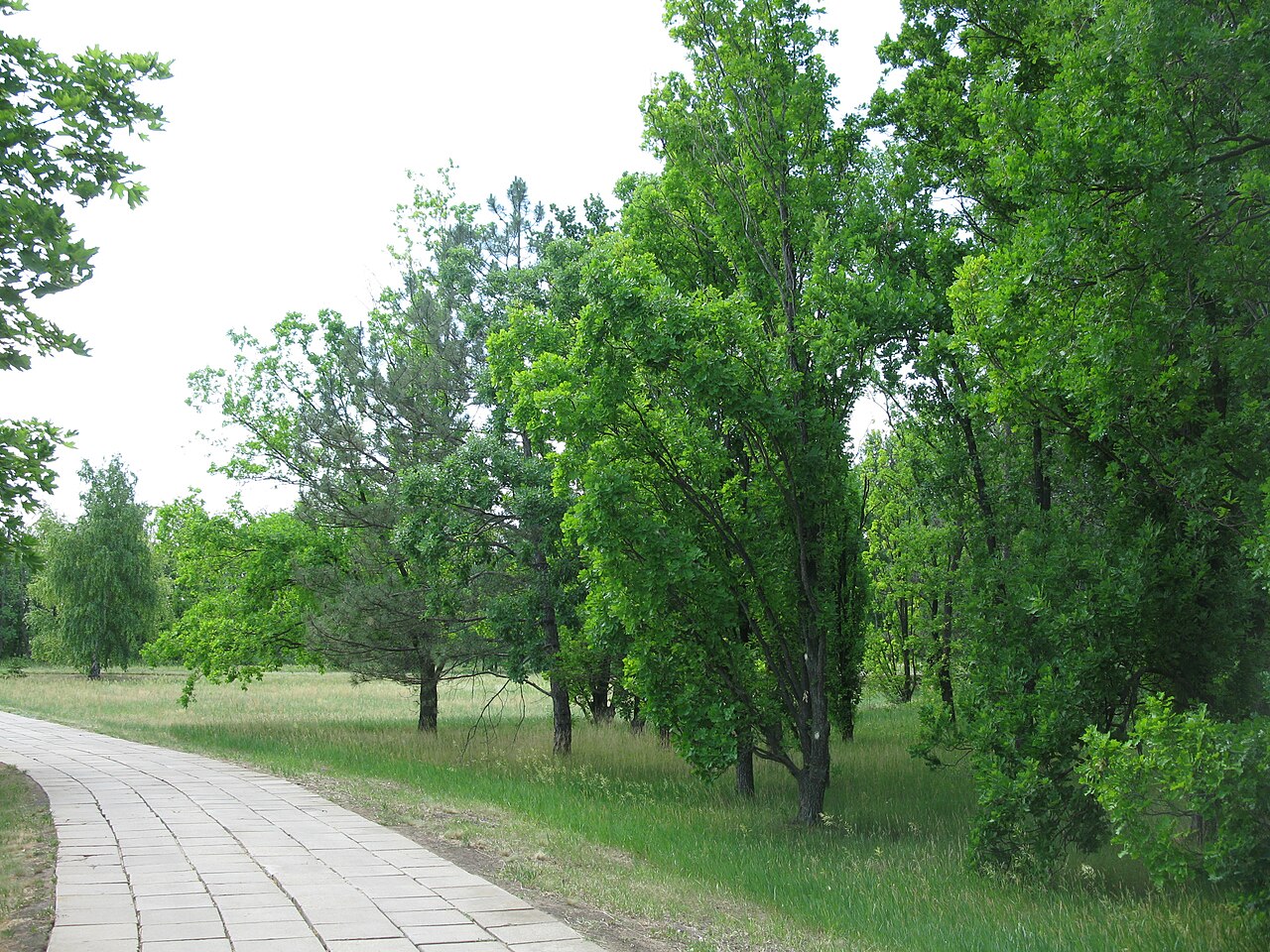 Park dendrologiczny Falz-Feina
