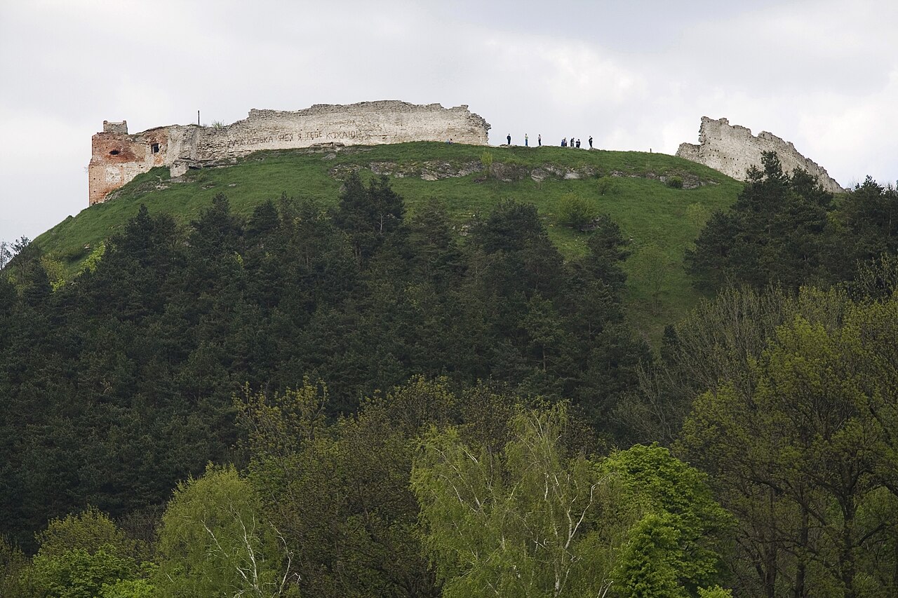 Zamek na górze Bona