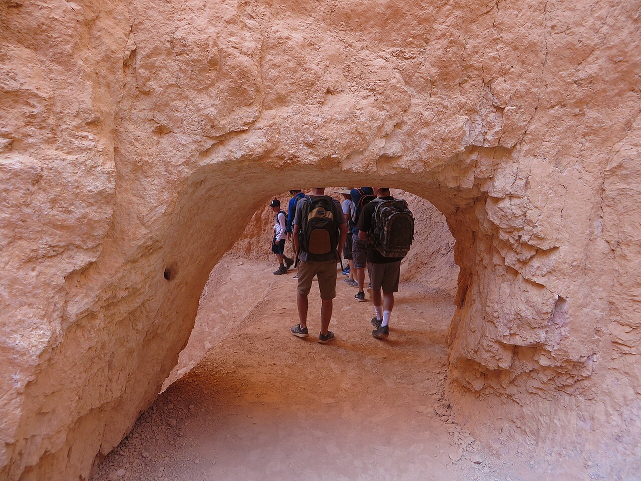 Navajo Loop i Wall Street