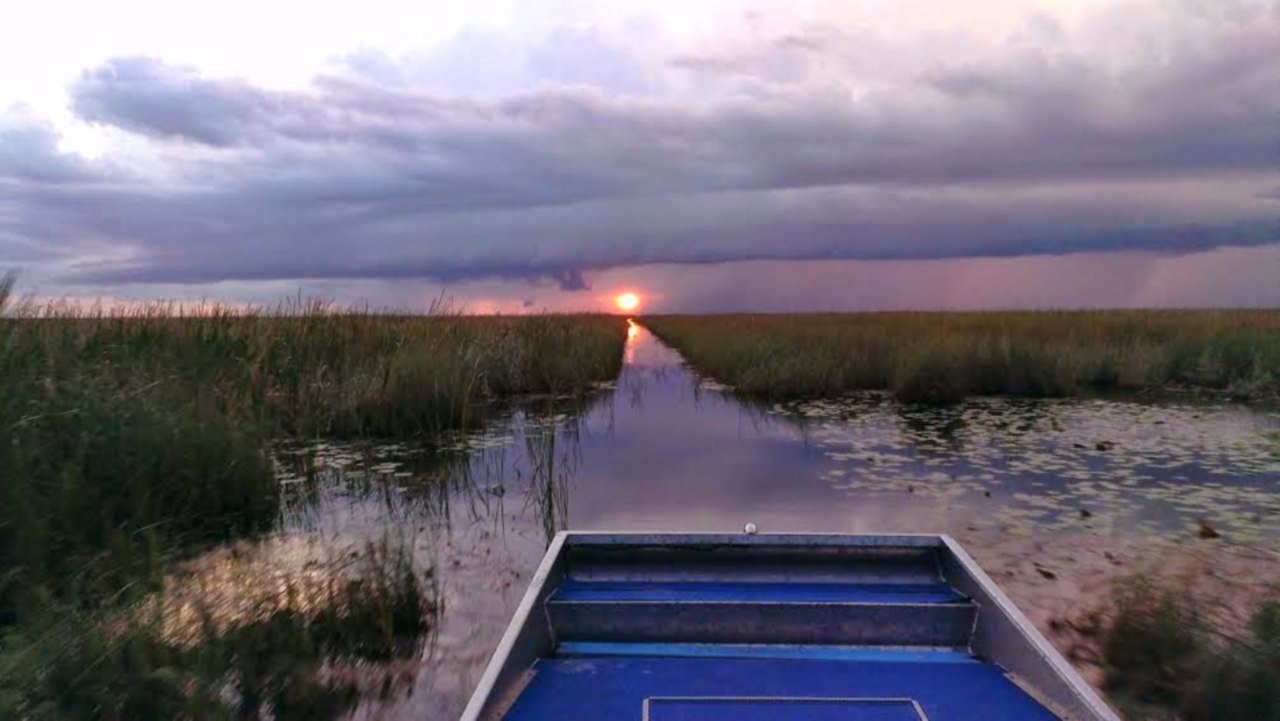 Rejs łodzią ślizgową po Everglades
