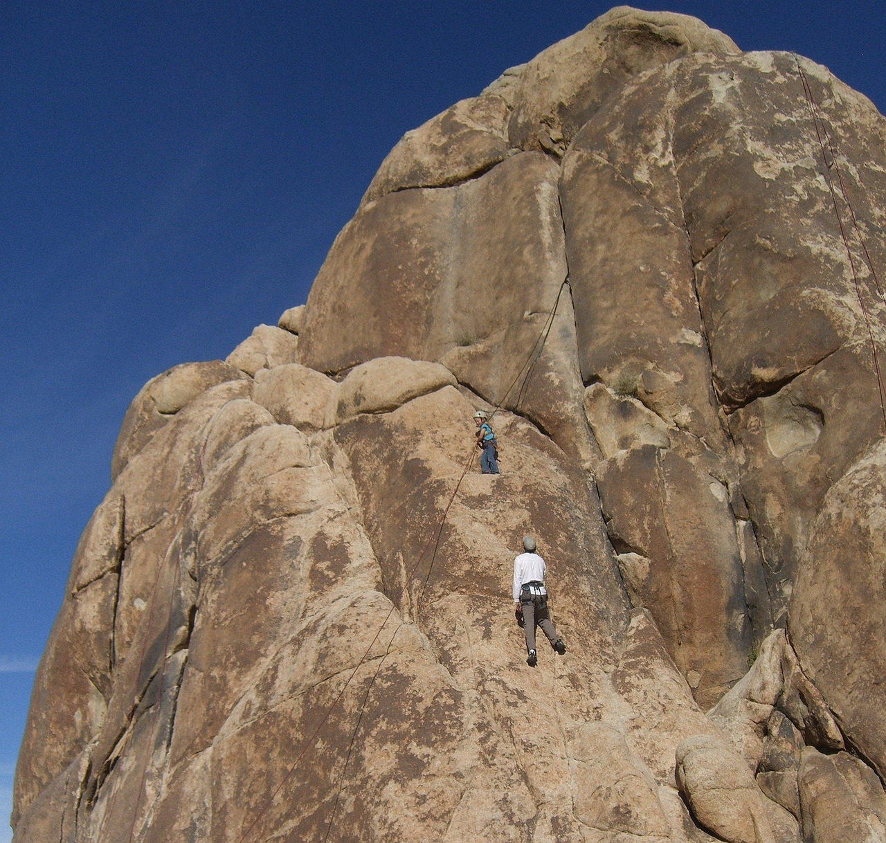 Wspinaczka i bouldering w parku