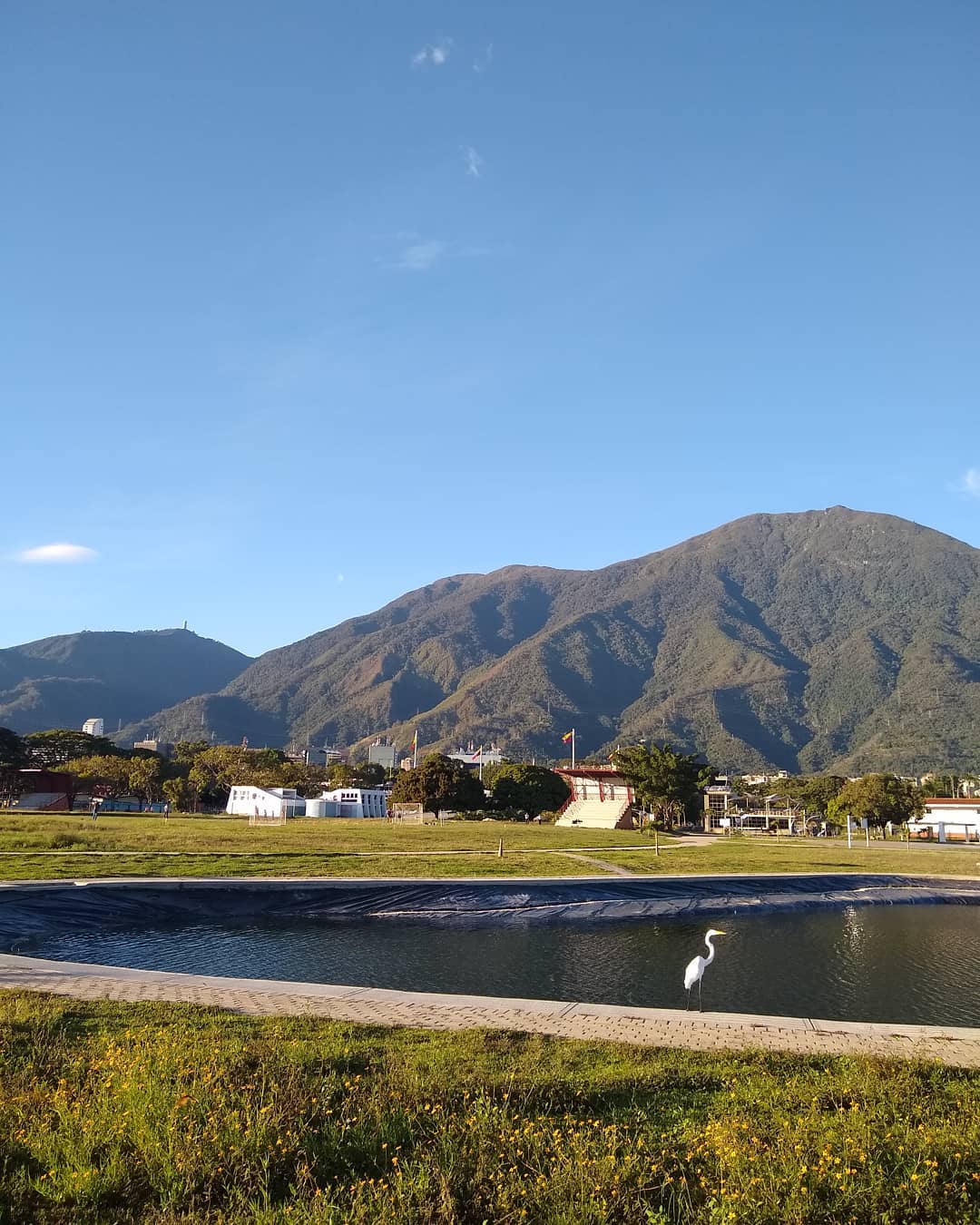 Plaza Bolívar i katedra