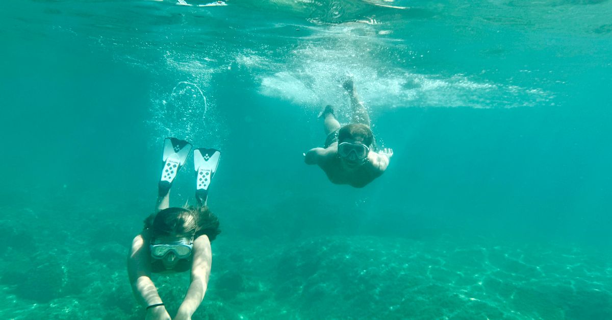 Snorkeling i rafy Mochima