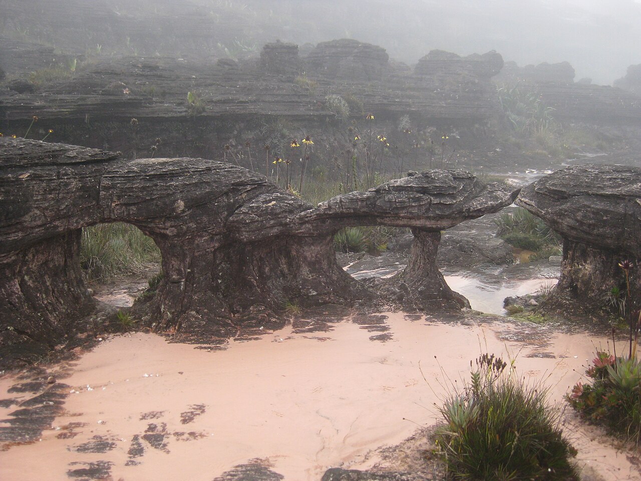 Trekking na szczyt Roraima