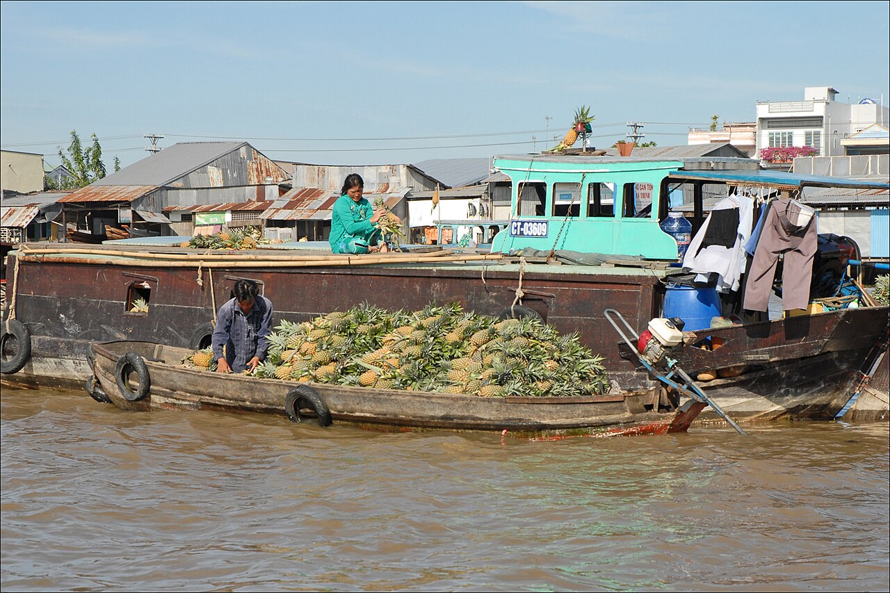 Delta Mekongu