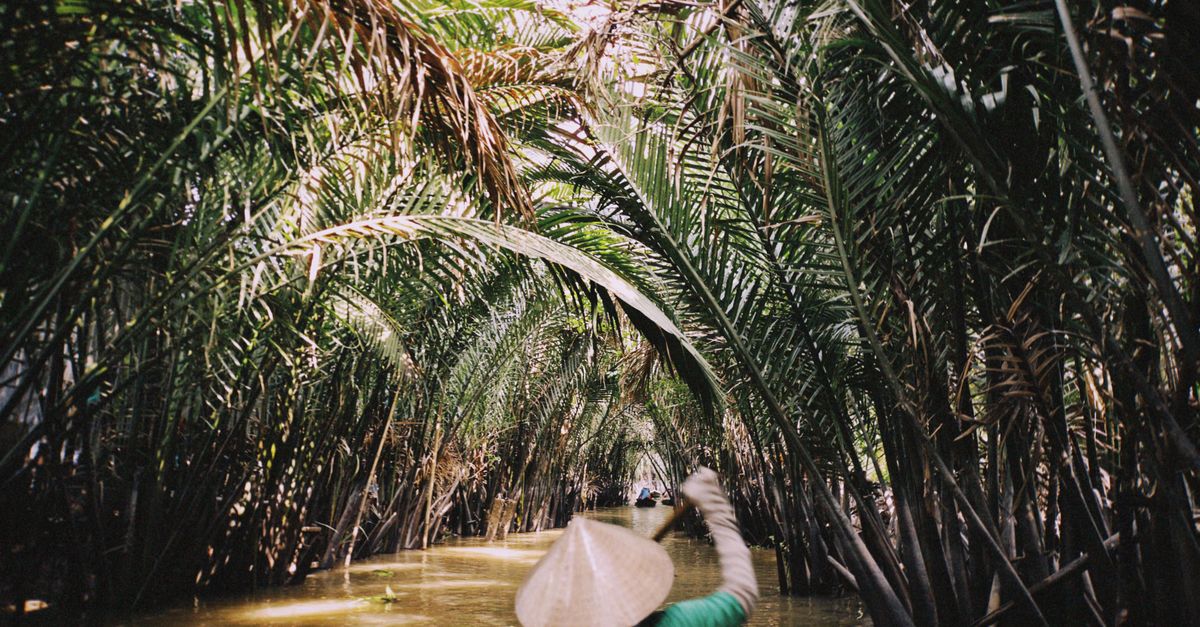 Kanały Vinh Long