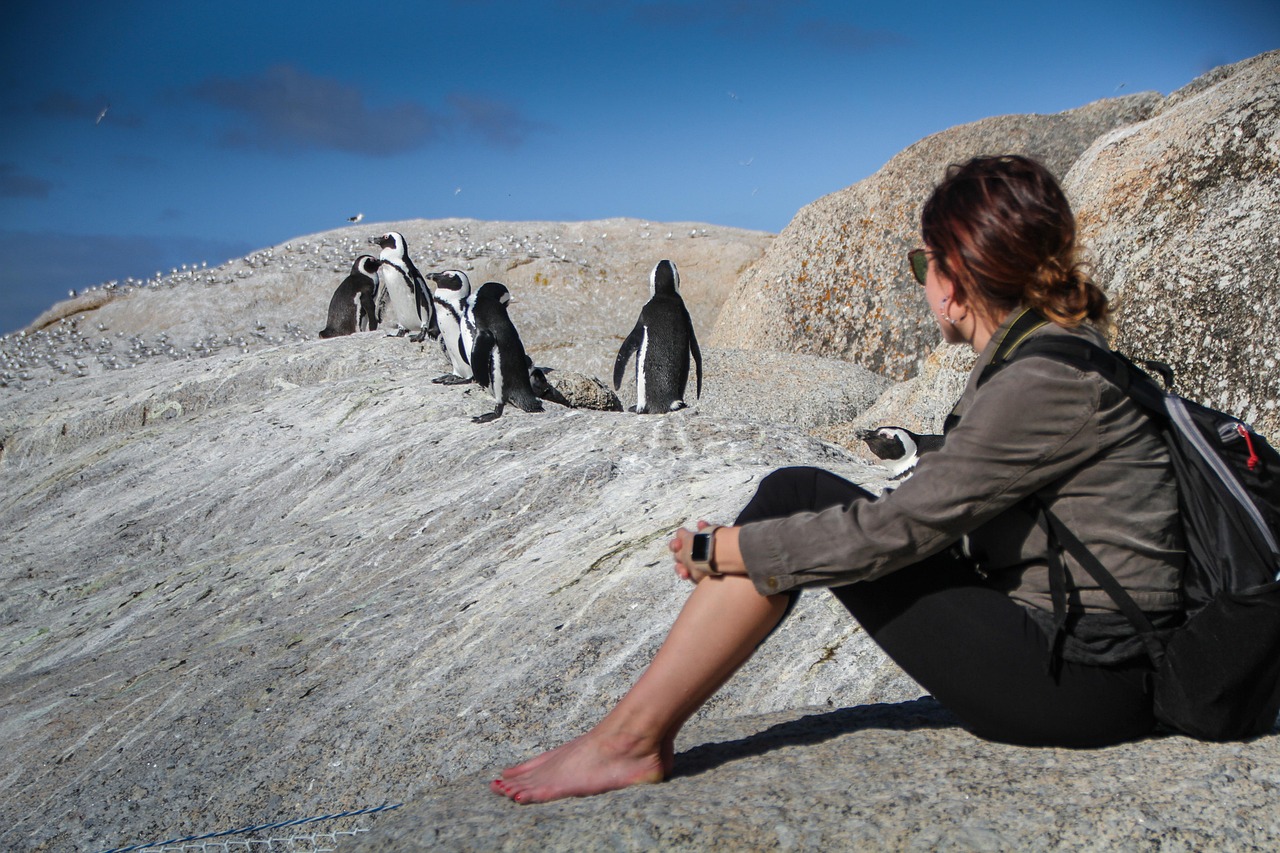 Boulders Beach pingwiny