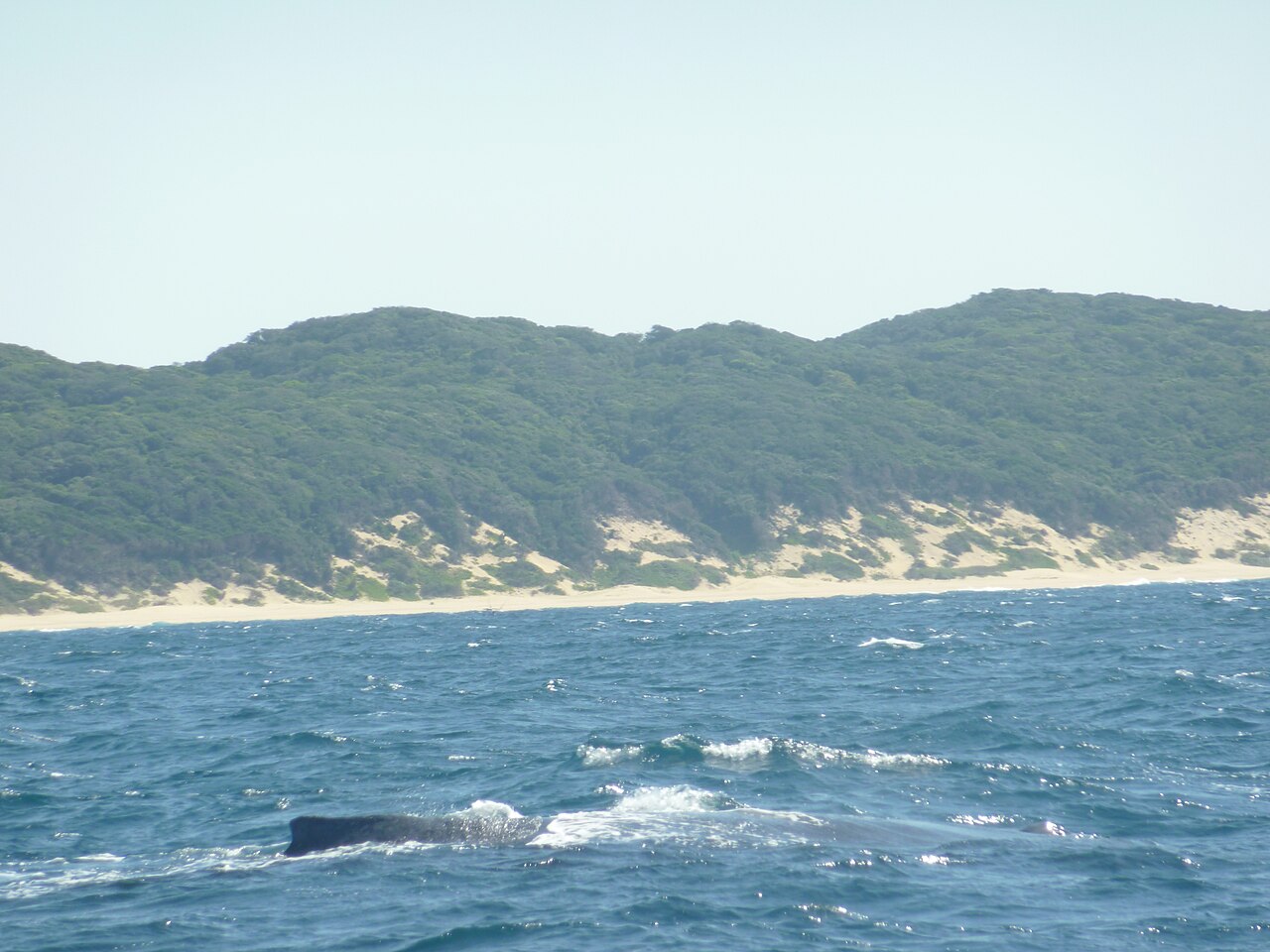 Plaże Sodwana