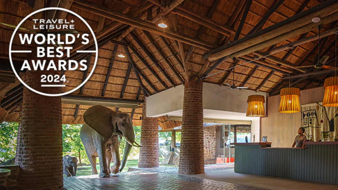 Mfuwe Lodge i słonie w recepcji