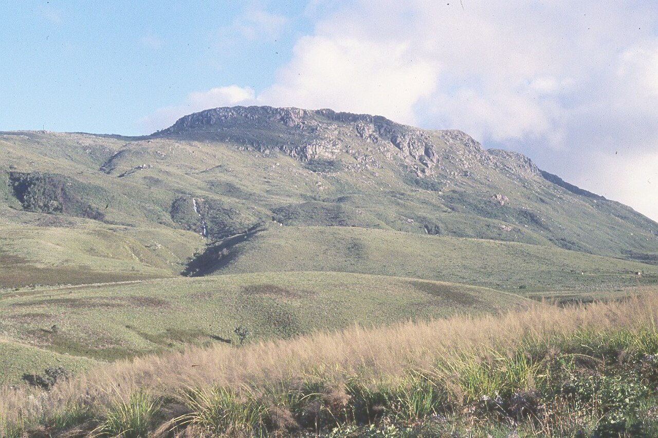 Nyanga