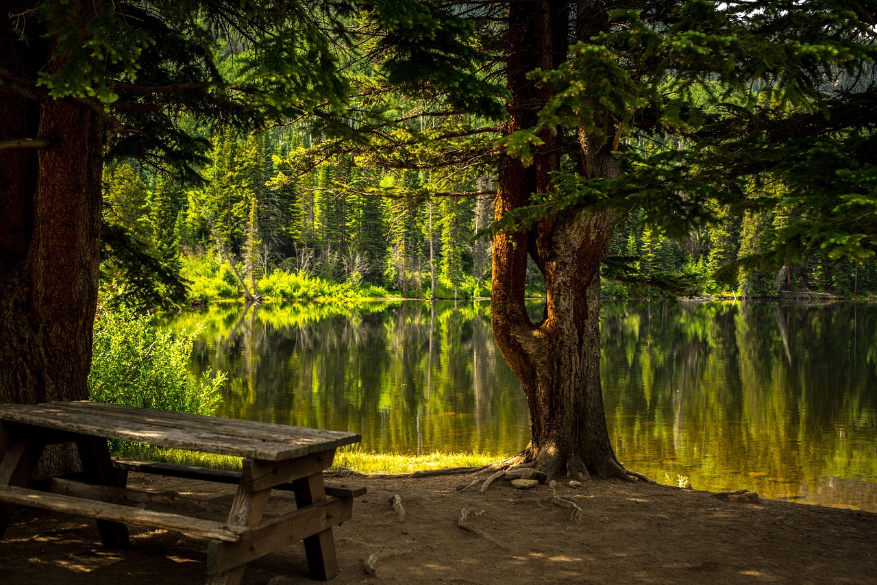 Sebakwe Recreational Park